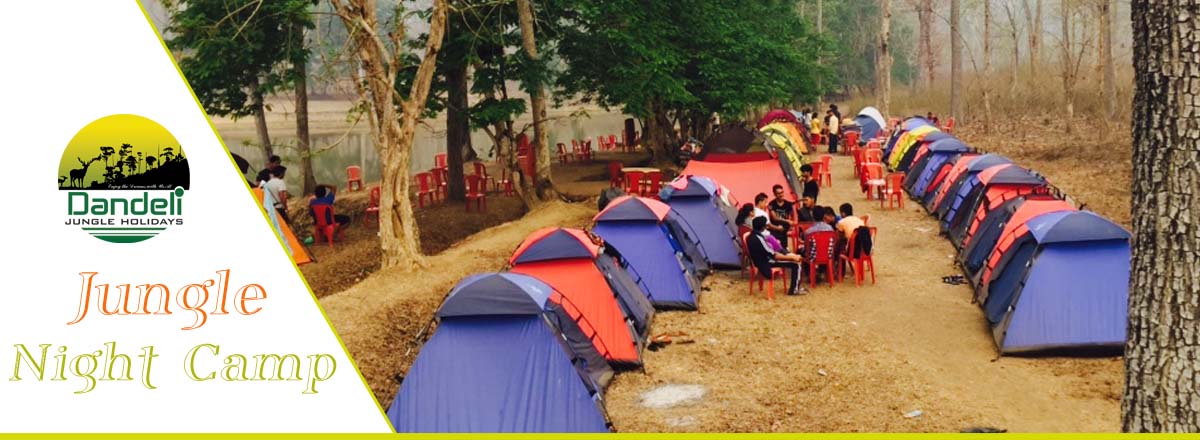 Jungle Night Camp