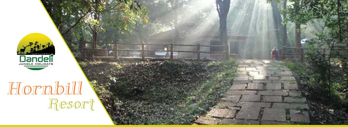 Hornbill Resort