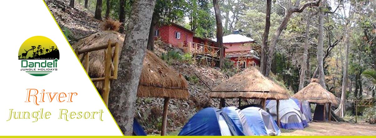 River side jungle stay