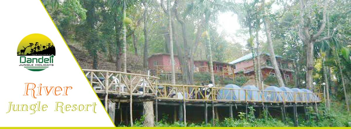 River side jungle stay