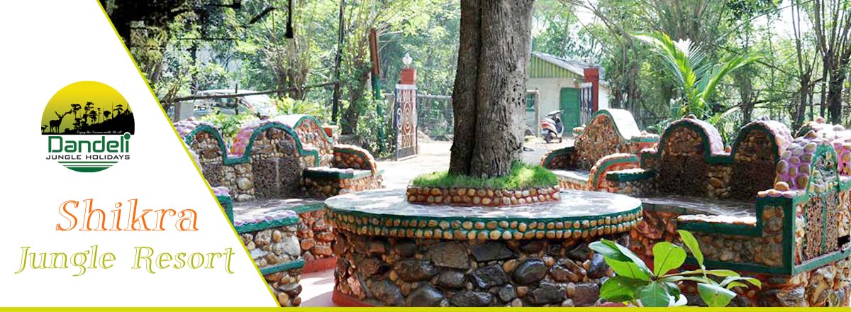 Jungle Shikra Resort