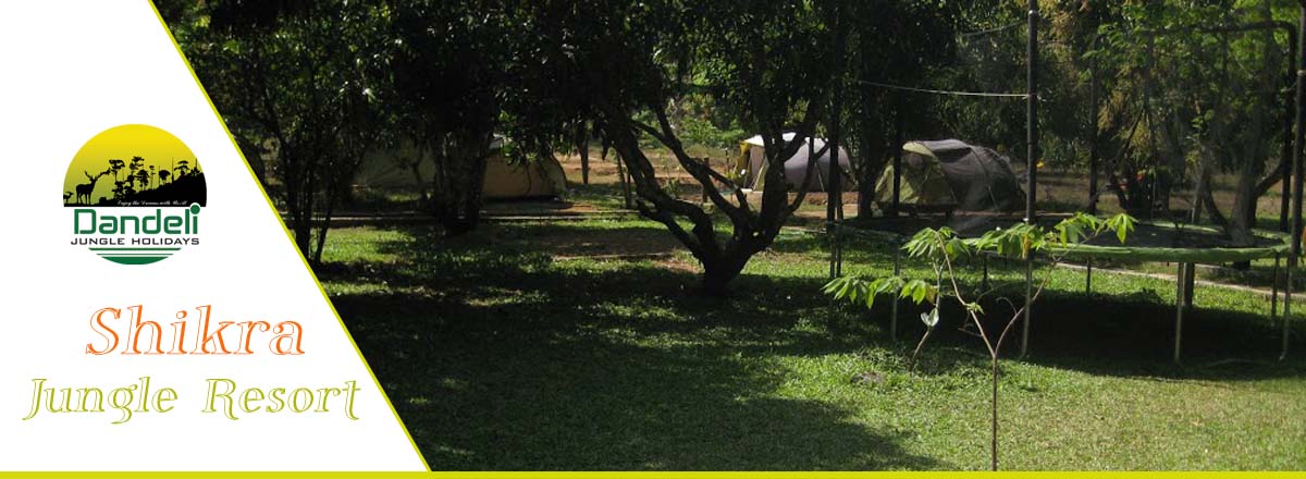 Jungle Shikra Resort