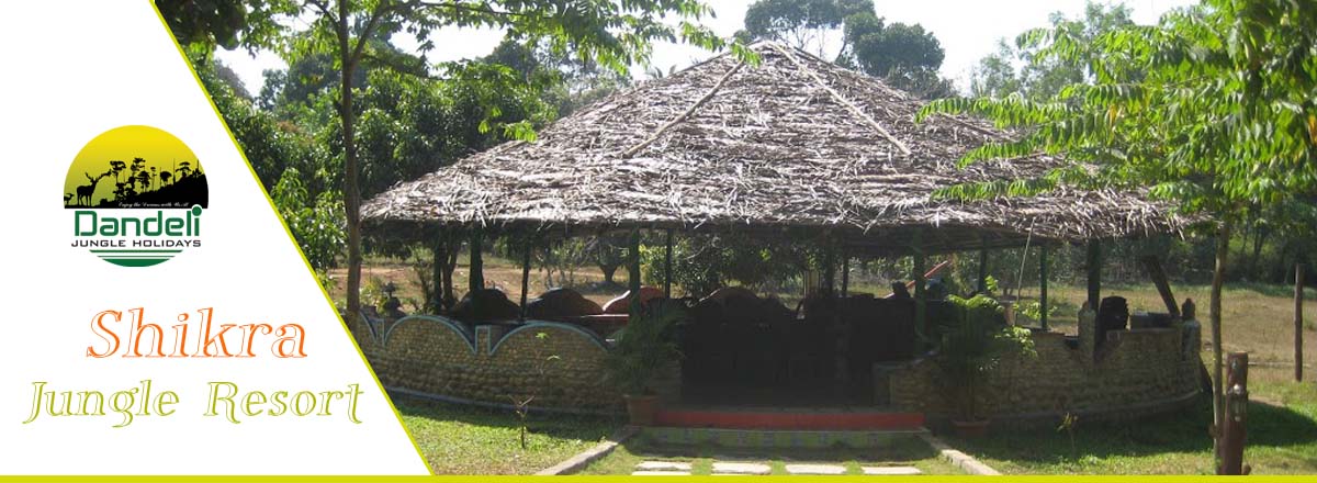 Jungle Shikra Resort