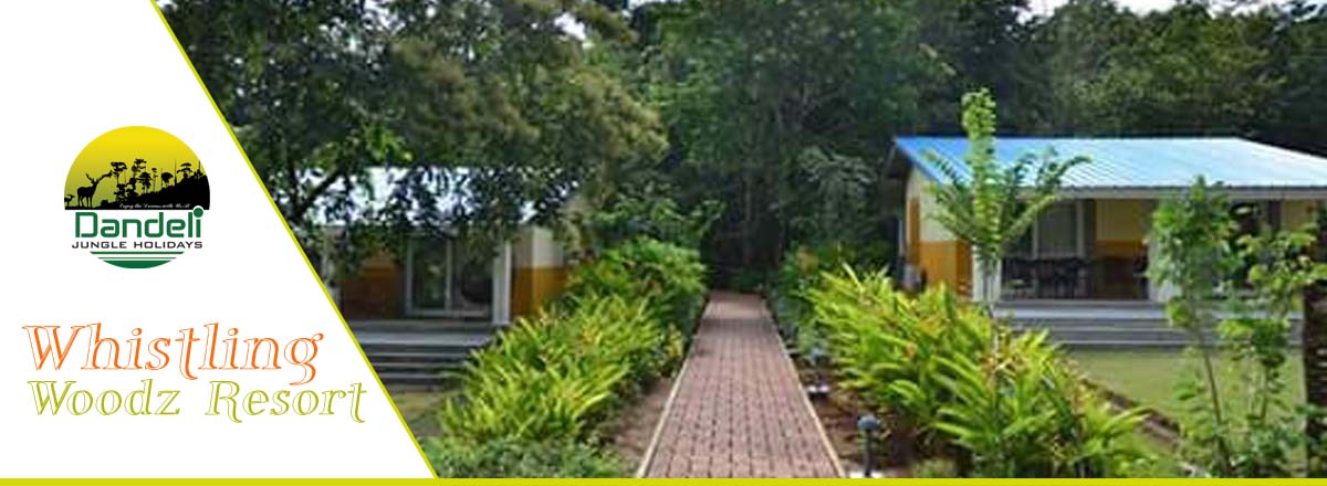 Whistling Woodz Resort 