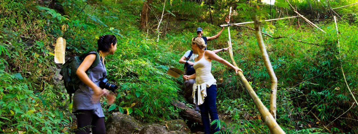 Adventure Trekking in Dandeli Wildlife Sanctuary