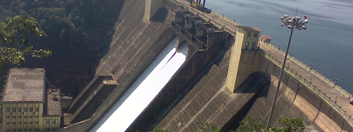 Bird Watching in Dandeli