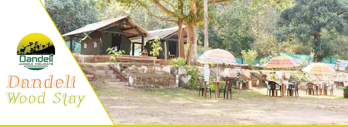 Dandeli Wood Stay
