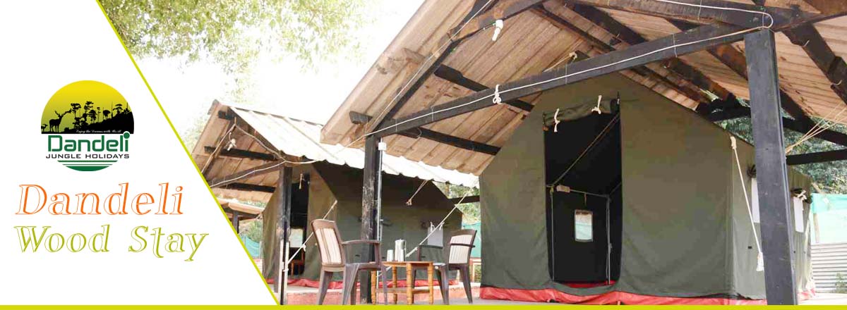 Dandeli Wood Stay