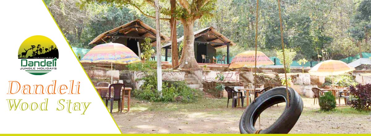 Dandeli Wood Stay