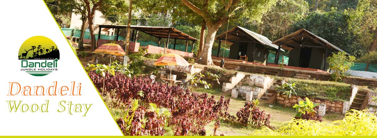 Dandeli Wood Stay