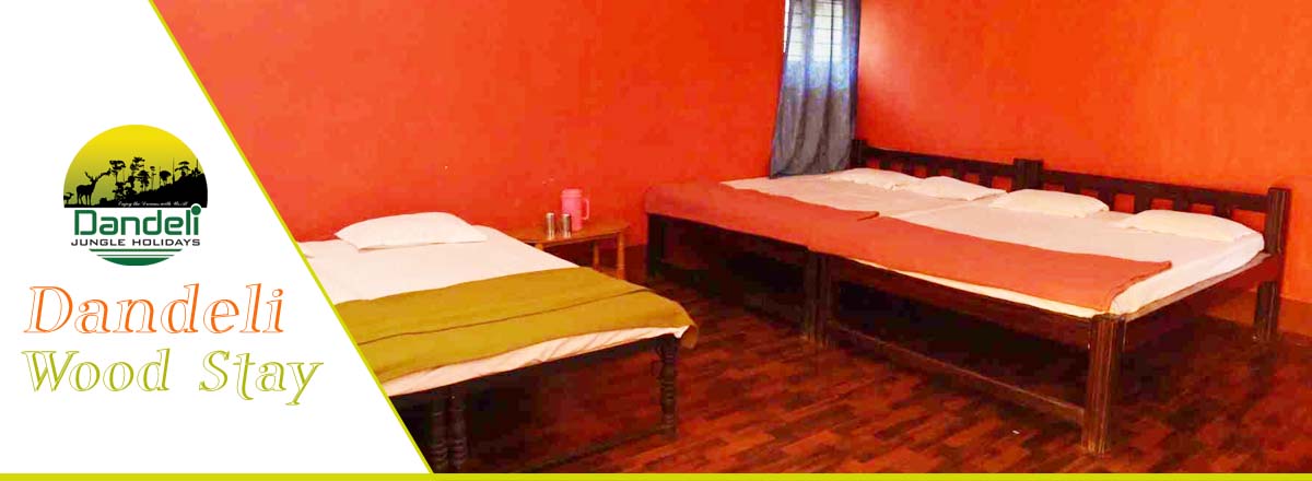 Dandeli Wood Stay