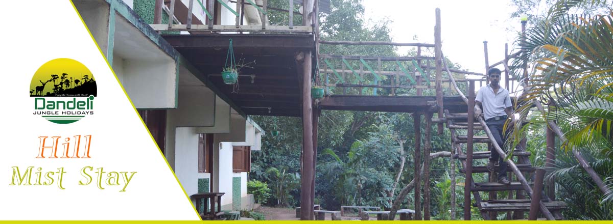 Hill Mist Stay