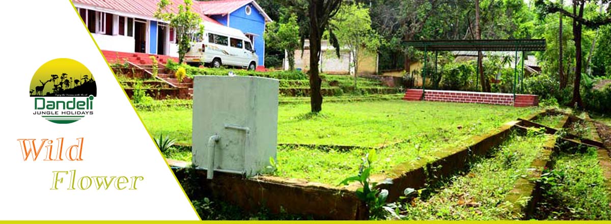 Wild Flower Home Stay