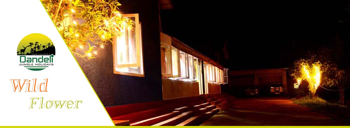 Wild Flower Home Stay