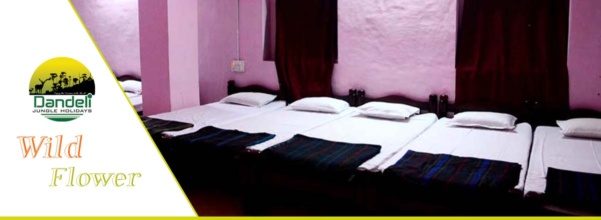 Wild Flower Home Stay