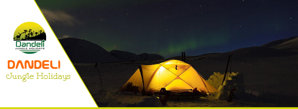 Jungle Night camp in dandeli jungle Holidays